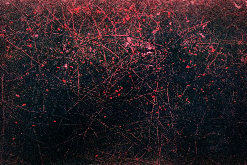 © Clara Chichin - Image from the It is then possible to risk dreaming photography project