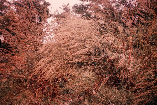 © Clara Chichin - Image from the It is then possible to risk dreaming photography project