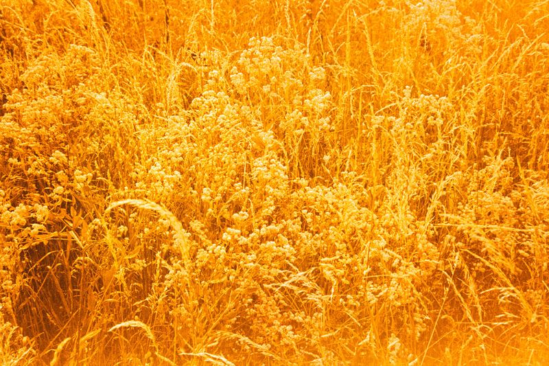 © Clara Chichin - Image from the It is then possible to risk dreaming photography project