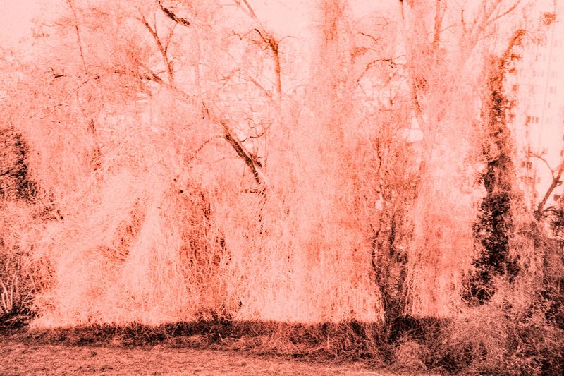 © Clara Chichin - Image from the It is then possible to risk dreaming photography project