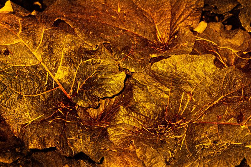 © Clara Chichin - Image from the It is then possible to risk dreaming photography project