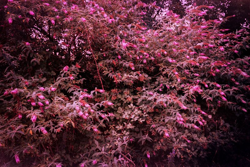 © Clara Chichin - Image from the It is then possible to risk dreaming photography project