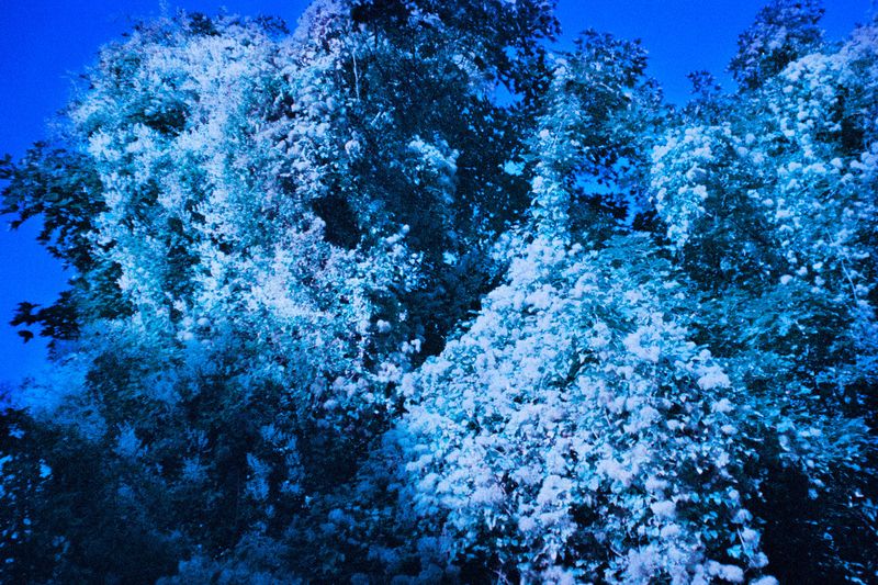 © Clara Chichin - Image from the It is then possible to risk dreaming photography project