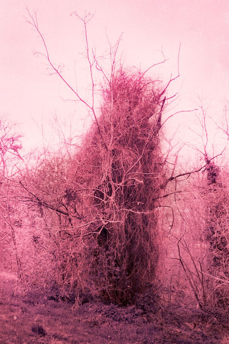 © Clara Chichin - Image from the It is then possible to risk dreaming photography project