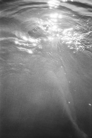 To a thousand sources, the good life" / " Aux mille source la belle vie"