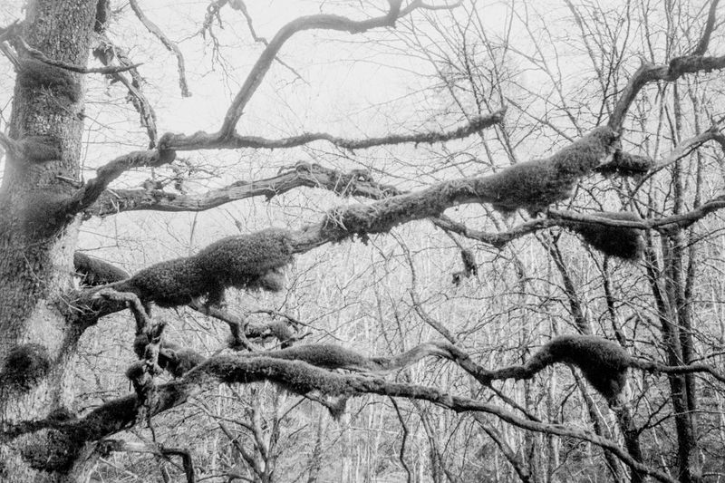 © Clara Chichin - Image from the To a thousand sources, the good life" / " Aux mille source la belle vie" photography project