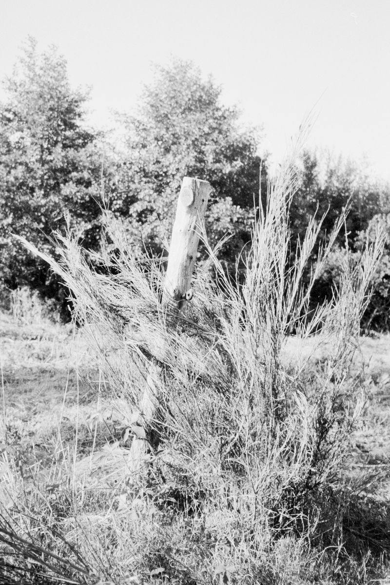 © Clara Chichin - Image from the To a thousand sources, the good life" / " Aux mille source la belle vie" photography project