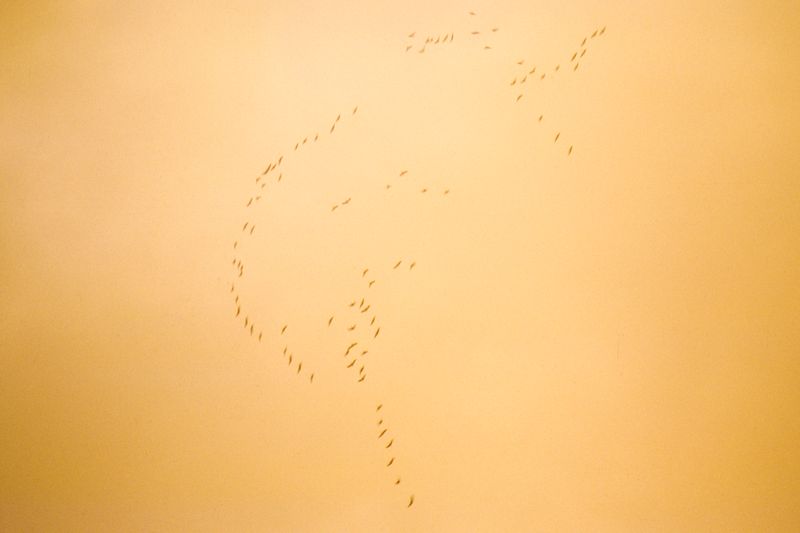 © Clara Chichin - Image from the To a thousand sources, the good life" / " Aux mille source la belle vie" photography project