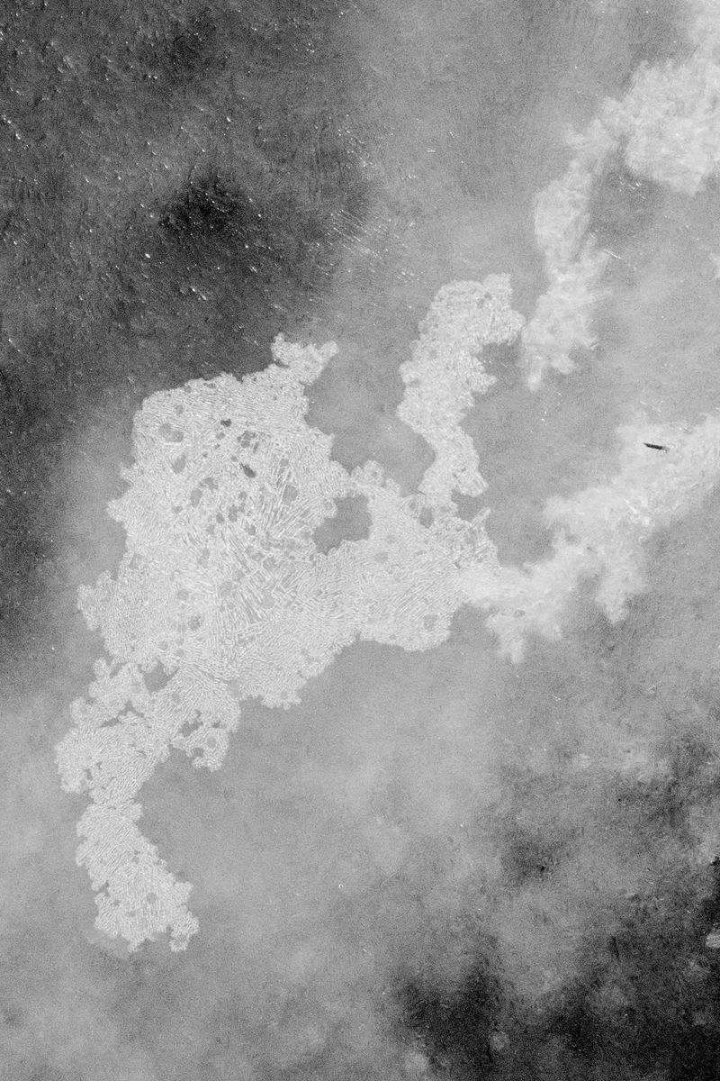 © Clara Chichin - Image from the To a thousand sources, the good life" / " Aux mille source la belle vie" photography project