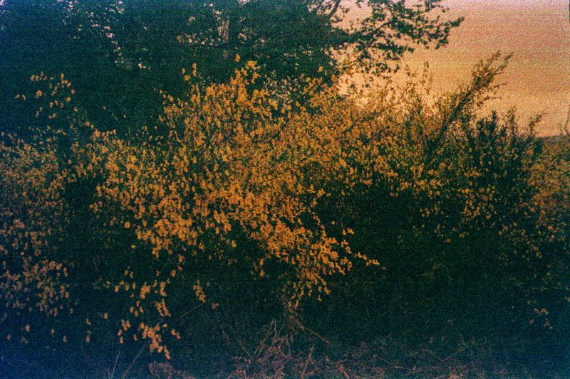 © Clara Chichin - Image from the To a thousand sources, the good life" / " Aux mille source la belle vie" photography project