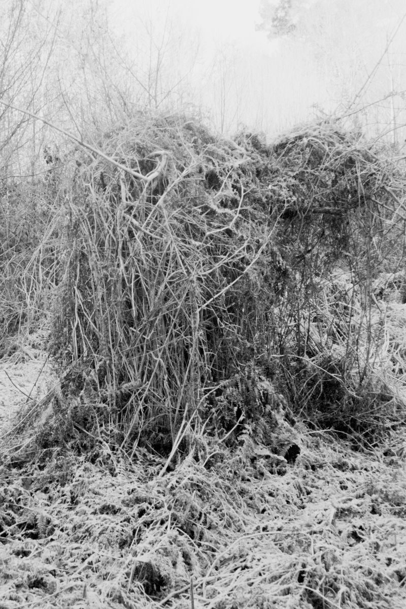 © Clara Chichin - Image from the To a thousand sources, the good life" / " Aux mille source la belle vie" photography project