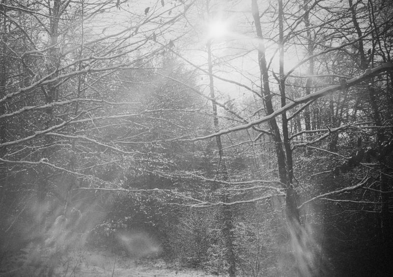 © Clara Chichin - Image from the To a thousand sources, the good life" / " Aux mille source la belle vie" photography project