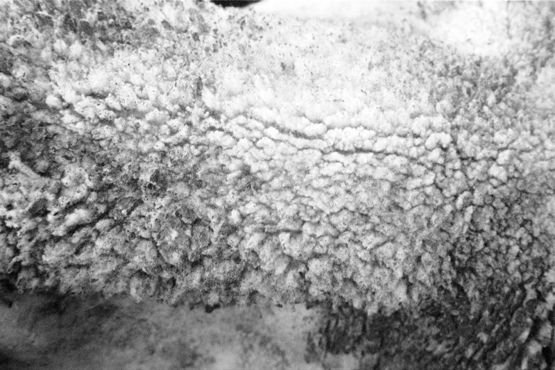 © Clara Chichin - Image from the To a thousand sources, the good life" / " Aux mille source la belle vie" photography project