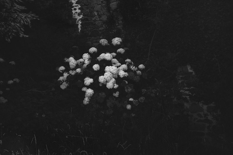 © Clara Chichin - From the serie "To a thousand sources, the good life" / " Aux mille source la belle vie"