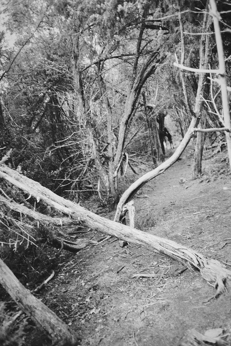 © Clara Chichin - From the serie "To a thousand sources, the good life" / " Aux mille source la belle vie"