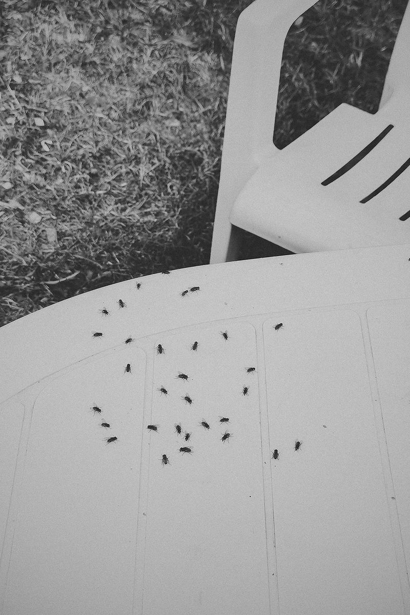 © Clara Chichin - From the serie "To a thousand sources, the good life" / " Aux mille source la belle vie"