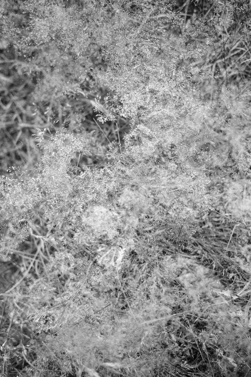 © Clara Chichin - From the serie "To a thousand sources, the good life" / " Aux mille source la belle vie"