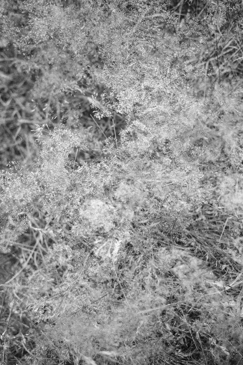 © Clara Chichin - From the serie "To a thousand sources, the good life" / " Aux mille source la belle vie"