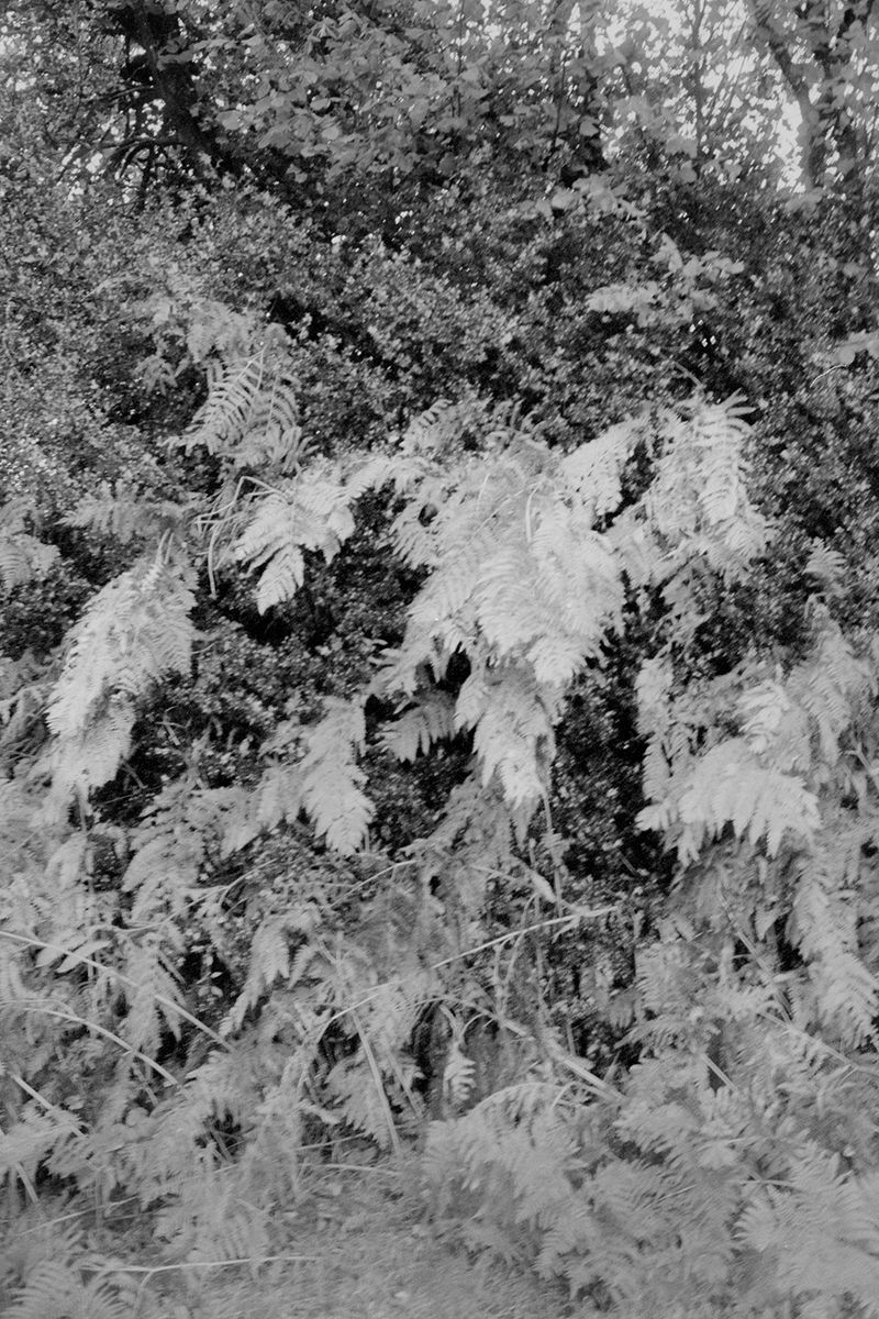 © Clara Chichin - From the serie "To a thousand sources, the good life" / " Aux mille source la belle vie"