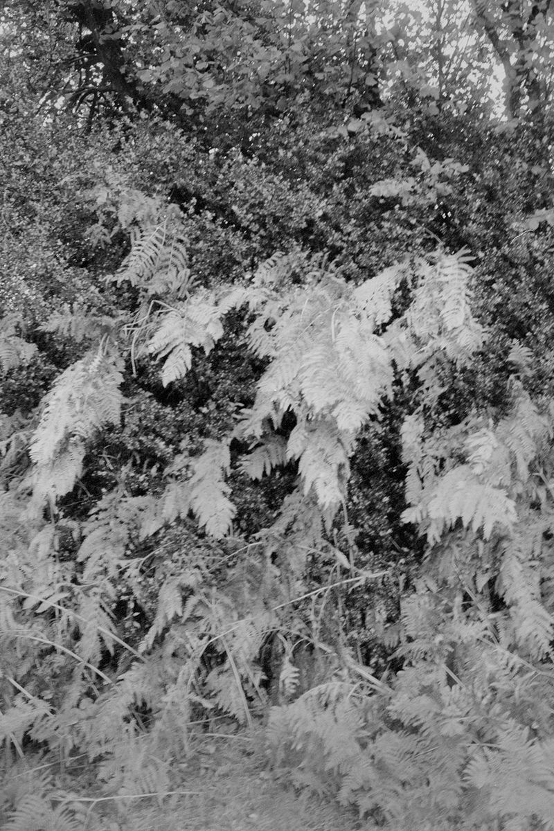 © Clara Chichin - From the serie "To a thousand sources, the good life" / " Aux mille source la belle vie"