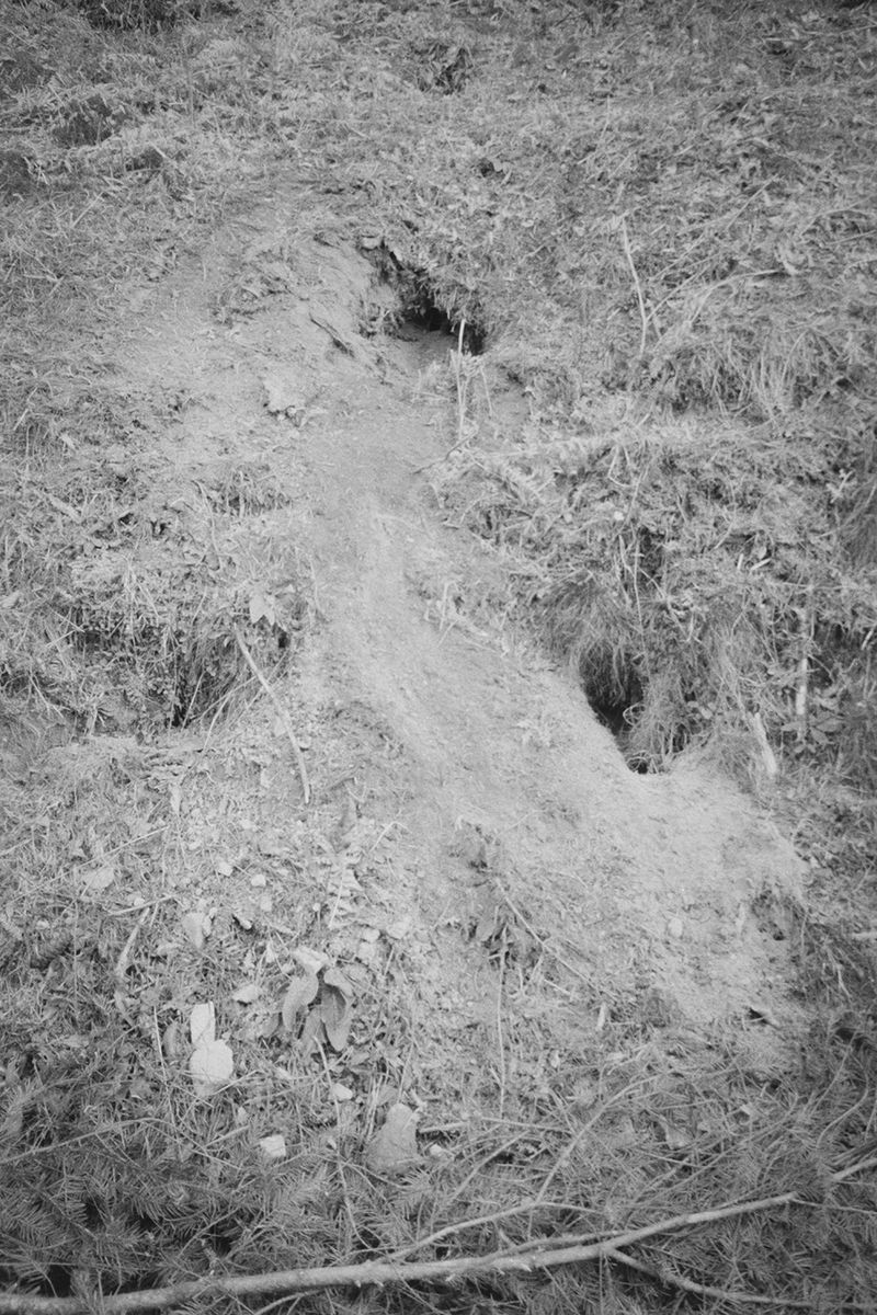 © Clara Chichin - From the serie "To a thousand sources, the good life" / " Aux mille source la belle vie"