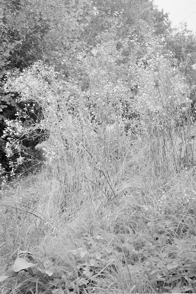 © Clara Chichin - From the serie "To a thousand sources, the good life" / " Aux mille source la belle vie"