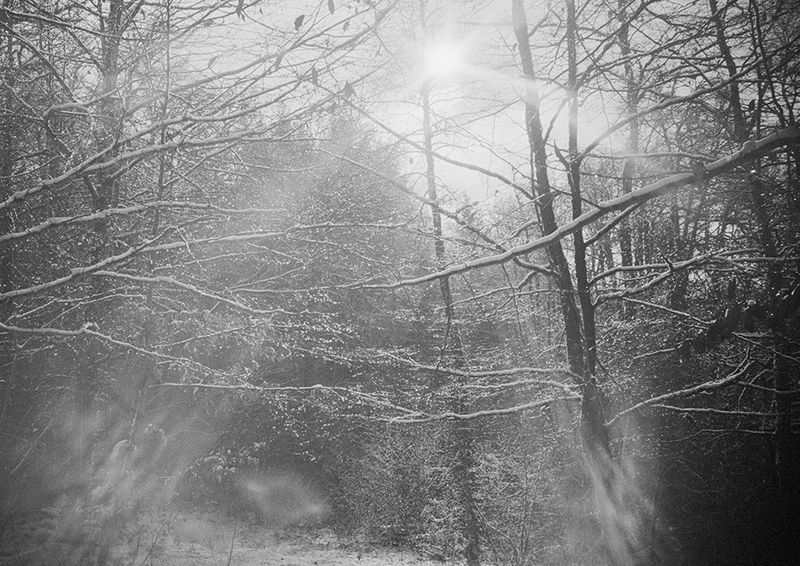 © Clara Chichin - From the serie "To a thousand sources, the good life" / " Aux mille source la belle vie"