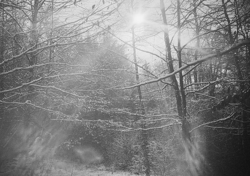 © Clara Chichin - From the serie "To a thousand sources, the good life" / " Aux mille source la belle vie"