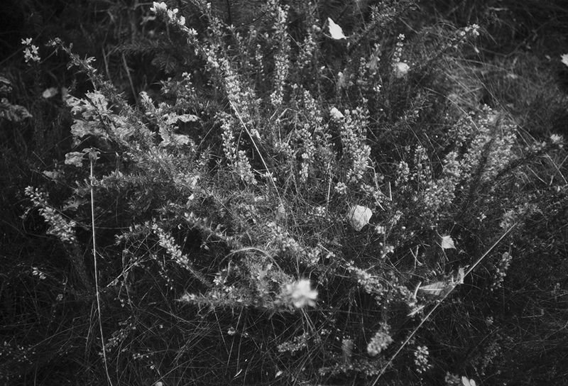 © Clara Chichin - From the serie "To a thousand sources, the good life" / " Aux mille source la belle vie"