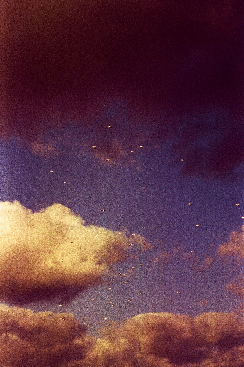 © Clara Chichin - Its successive disappearances 08