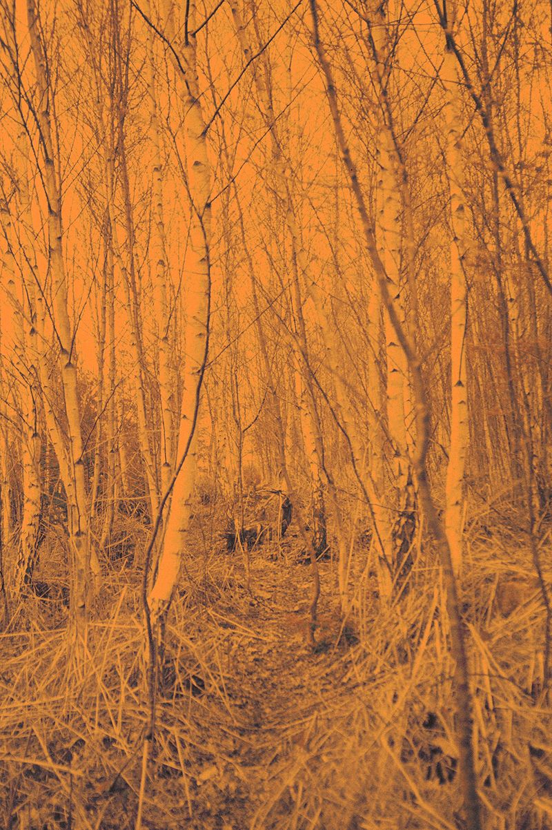 © Clara Chichin - Its successive disappearances 07