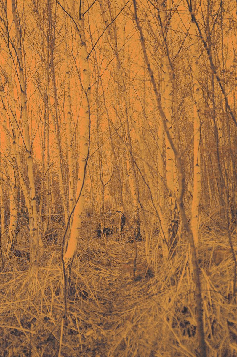 © Clara Chichin - Its successive disappearances 07