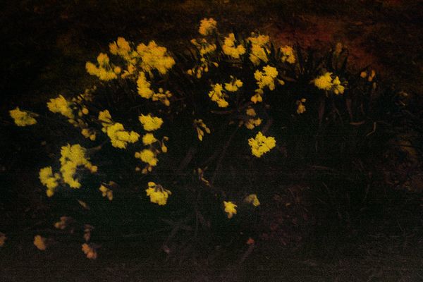 © Clara Chichin - Its successive disappearances 03