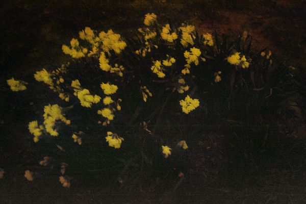 © Clara Chichin - Its successive disappearances 03