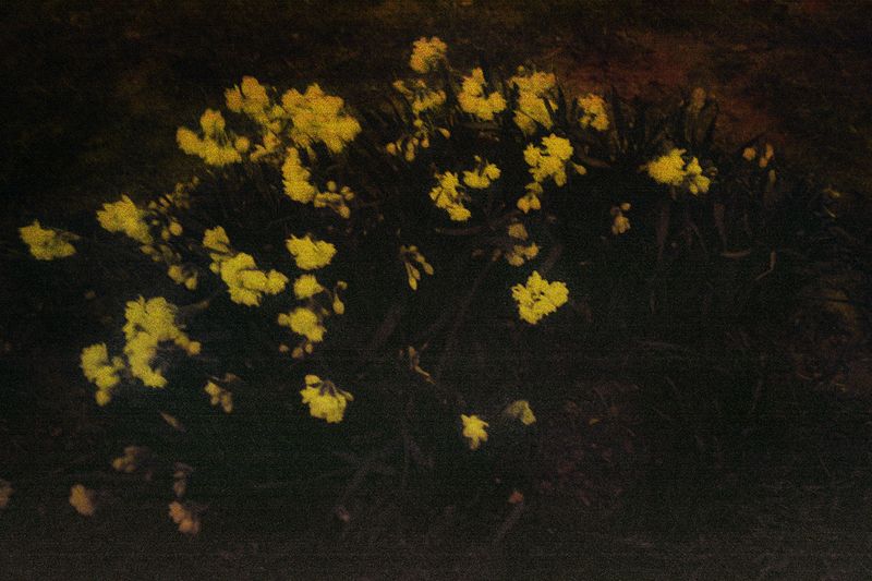 © Clara Chichin - Its successive disappearances 03