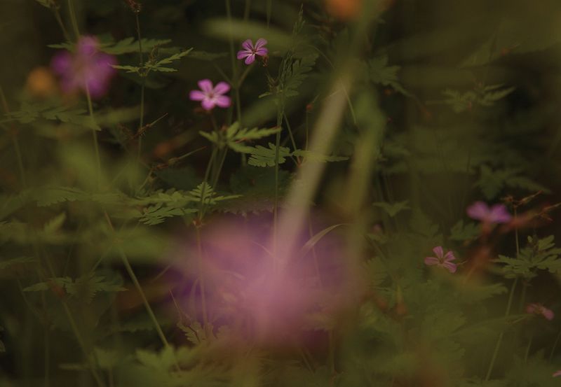 © Mark Griffiths - Image from the On Monday we build photography project