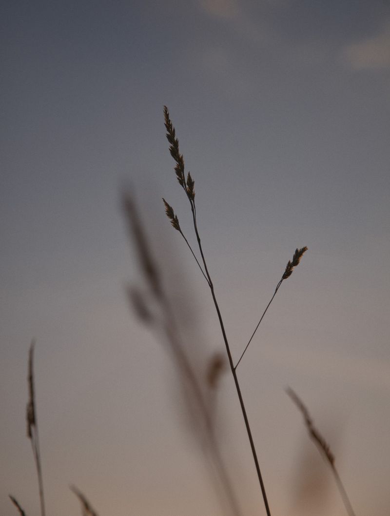 © Mark Griffiths - Image from the On Monday we build photography project