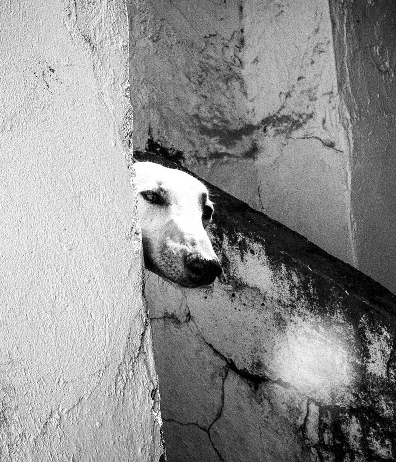 © Alexander Cabeza Trigg - Image from the Duende photography project