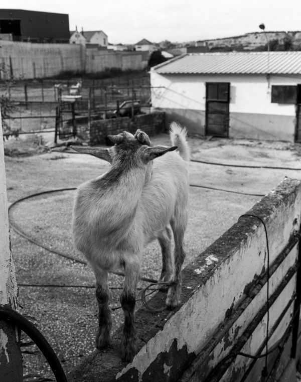 © Alexander Cabeza Trigg - Image from the Duende photography project