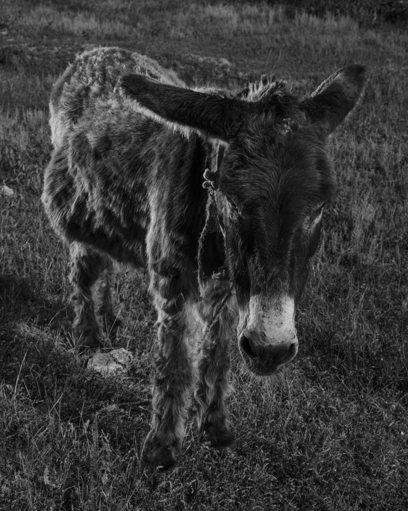 © Martha Roschmann - Image from the VARA photography project