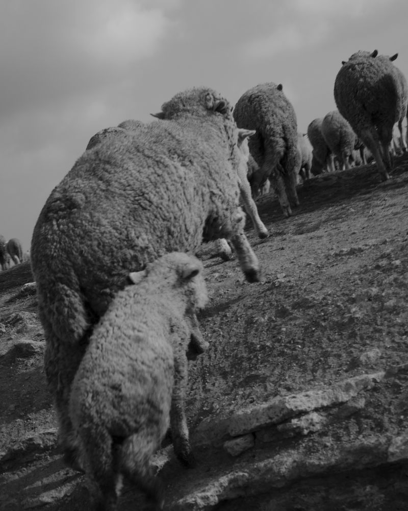 © Martha Roschmann - Image from the VARA photography project