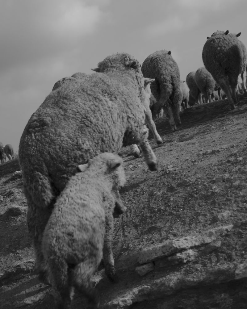 © Martha Roschmann - Image from the VARA photography project