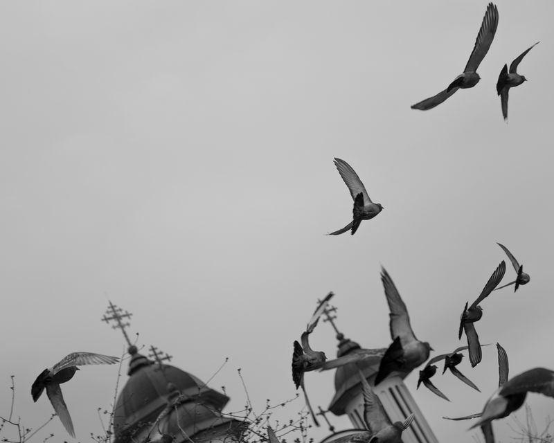 © Martha Roschmann - Image from the VARA photography project