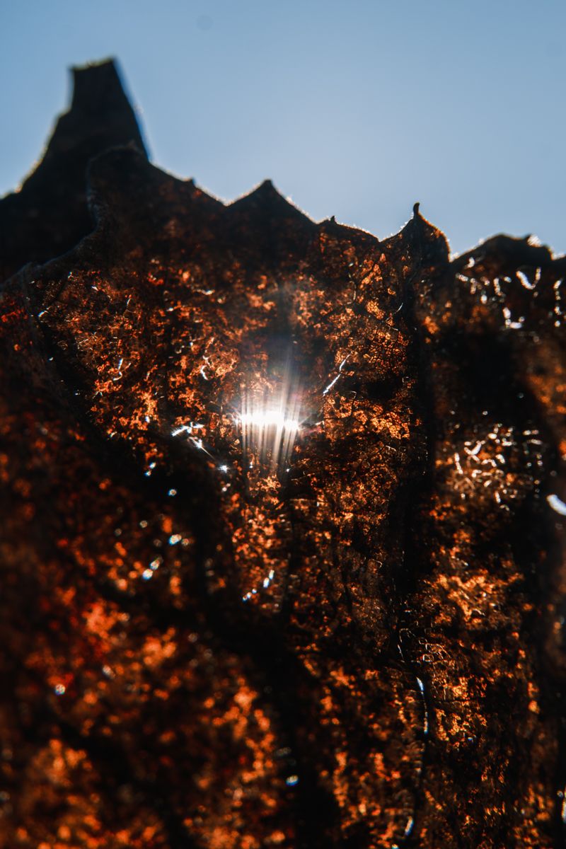 © Roberta Scampone - Image from the Terˈwär photography project