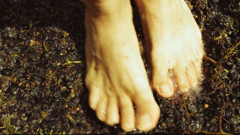 © Roberta Scampone - Image from the Terˈwär photography project