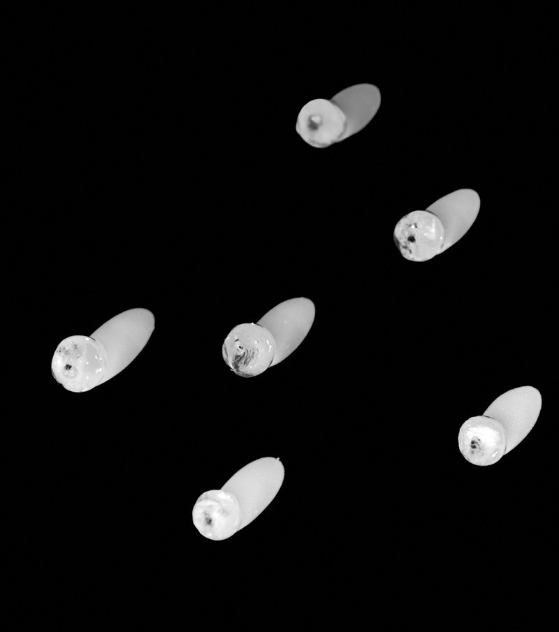 © Roberta Scampone - Image from the Terˈwär photography project