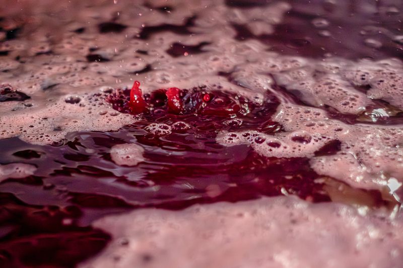 © Roberta Scampone - Image from the Terˈwär photography project