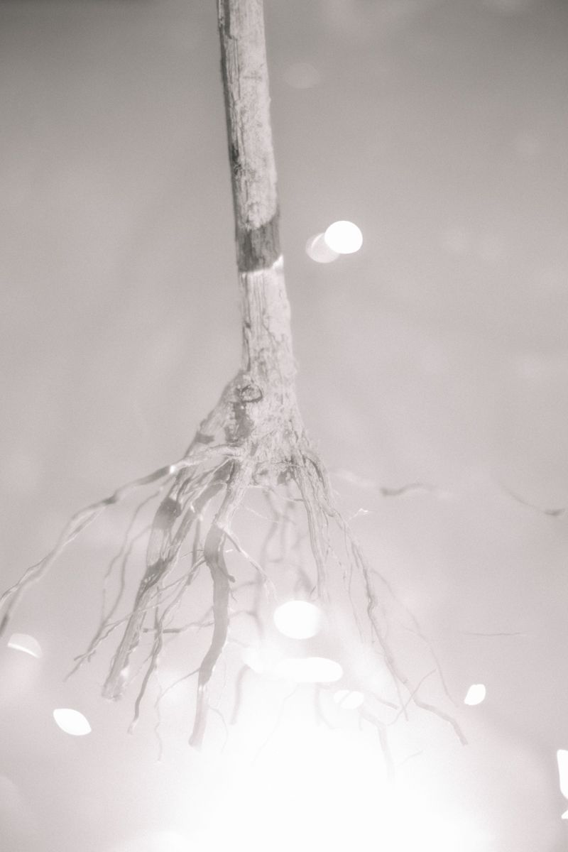 © Roberta Scampone - Image from the Terˈwär photography project