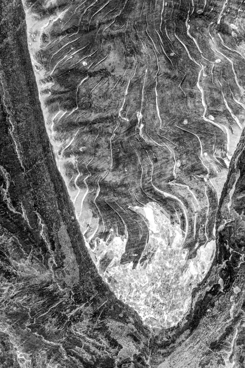 © Roberta Scampone - Image from the Terˈwär photography project