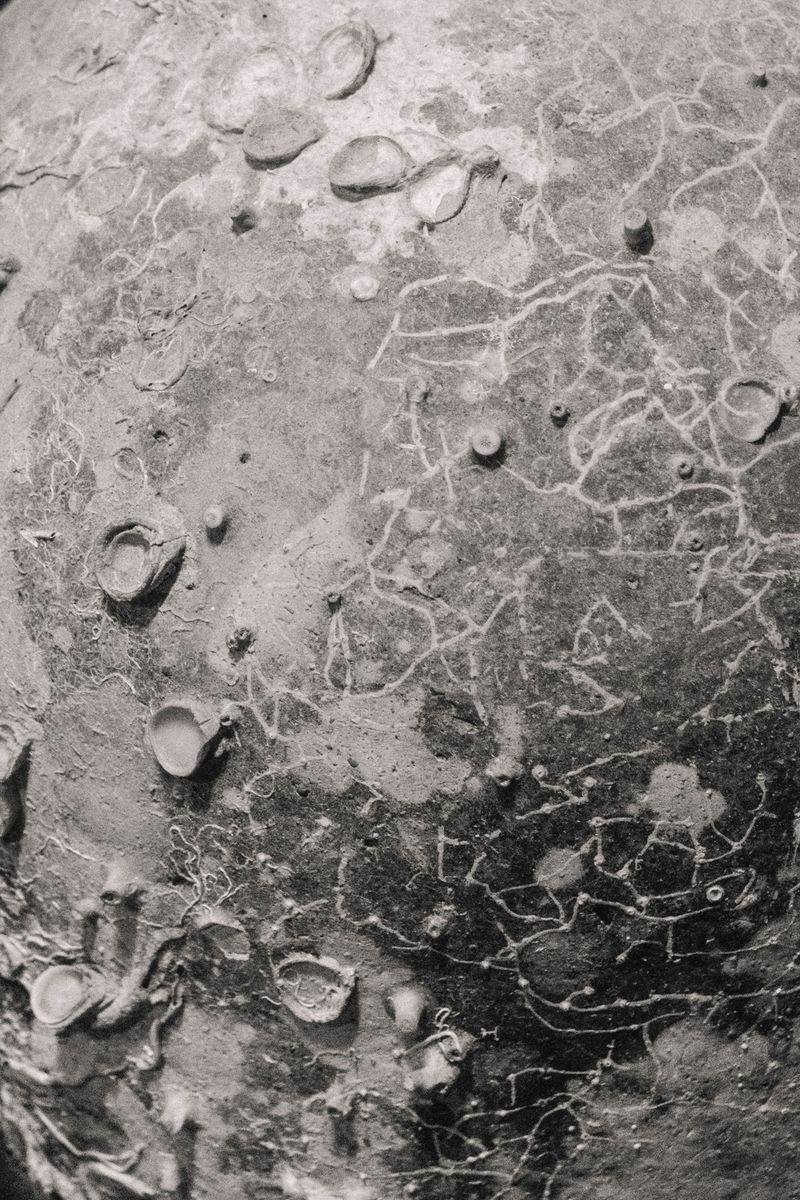 © Roberta Scampone - Image from the ENGRAM photography project